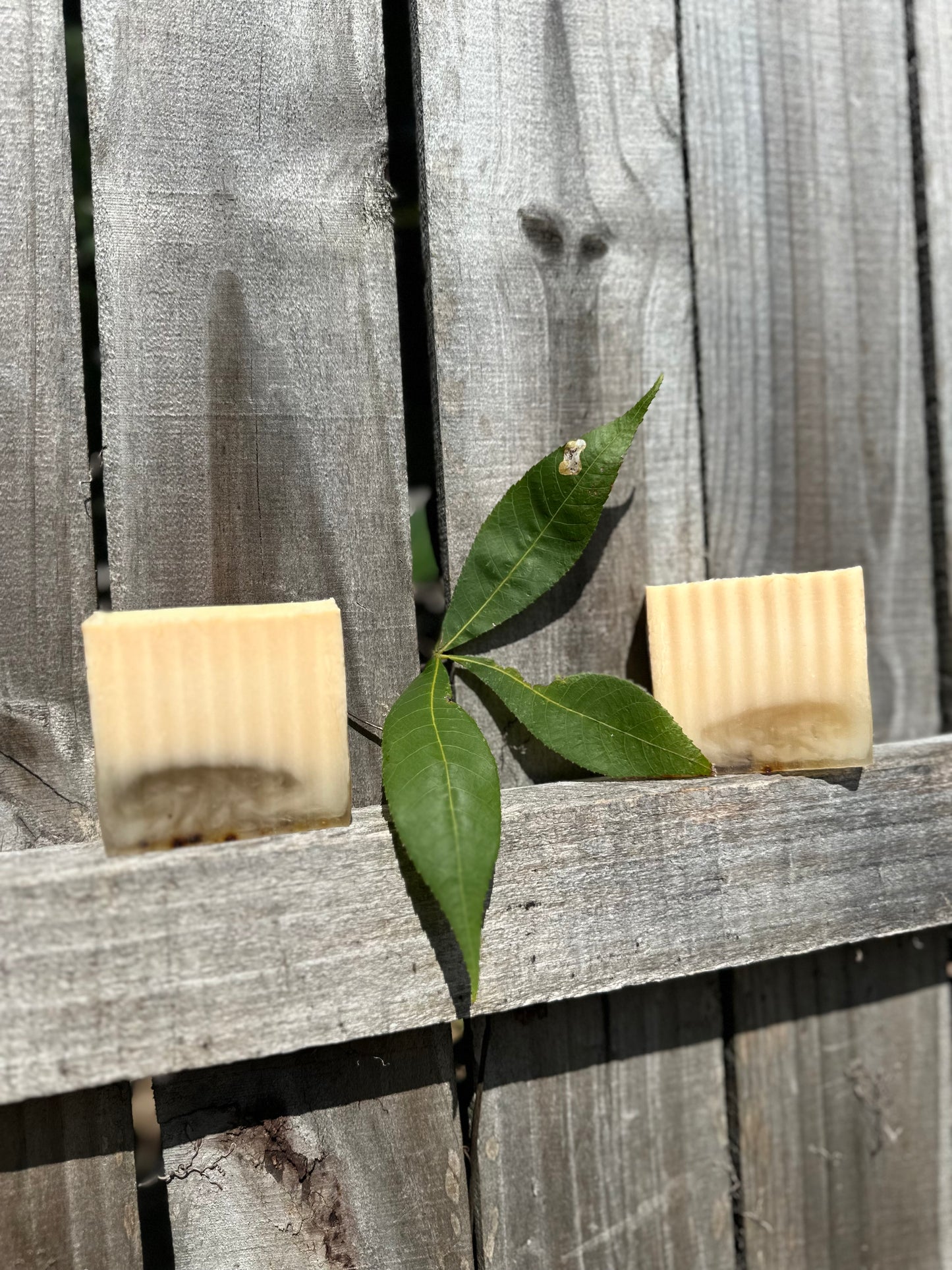 Men Body/Penis soap